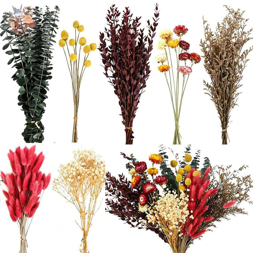 Dried Flowers Bulk Set 7 Kinds - Florist Flower Supply 评论和价格